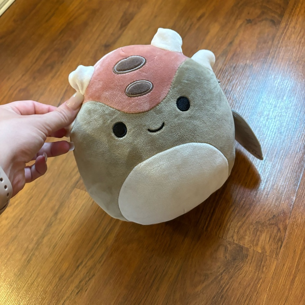 Ainhoca squishmellow mini